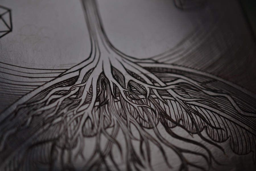 sister-hog-brother-tree-and-the-voice-of-copper34