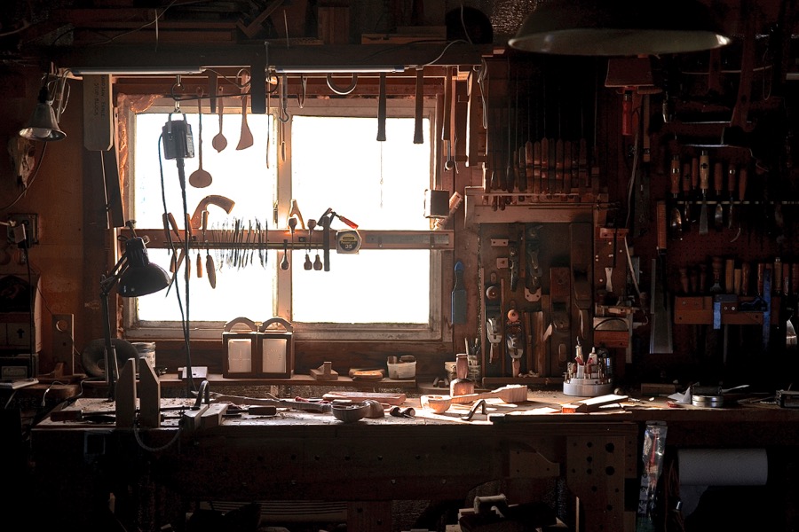 sister-hog-brother-tree-and-the-voice-of-copper40