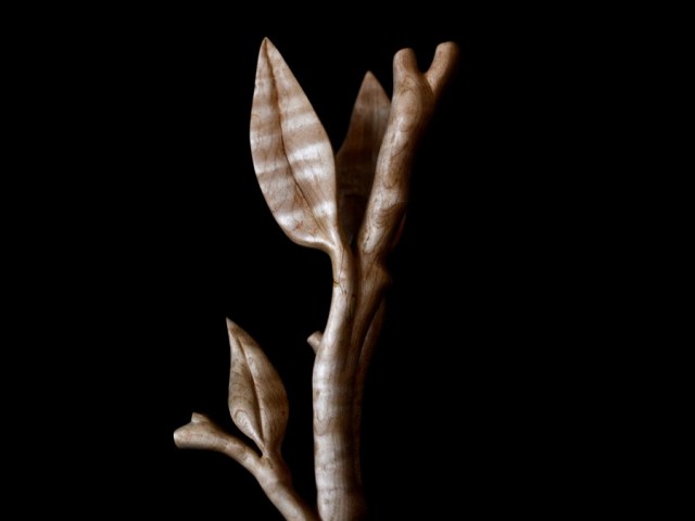 golden-ratio-spoon13