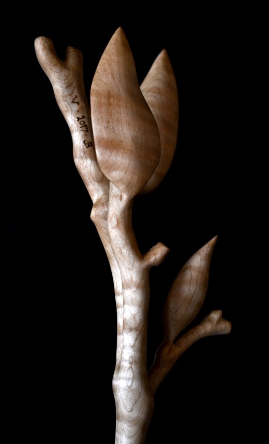 golden-ratio-spoon15