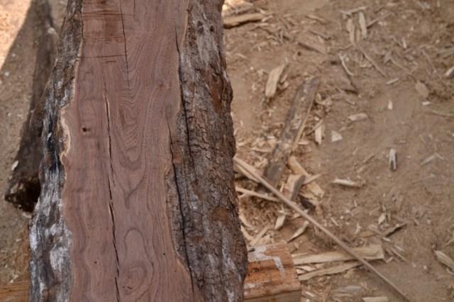 summer woodwork - 18